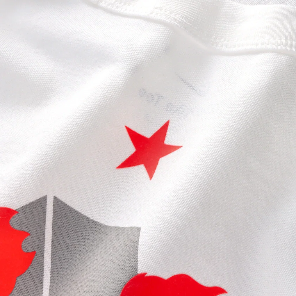 Camiseta England Nike x Palace Premium T-Shirt - White — foto 7